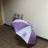 Pretty Lions Club Umbrellas
