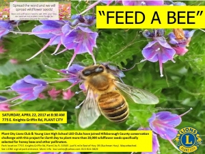 Plant City Lions Club Partners w/ City of Plant City For The Feed The Bee Project 2017