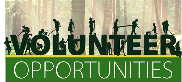 volunteer_opportunities